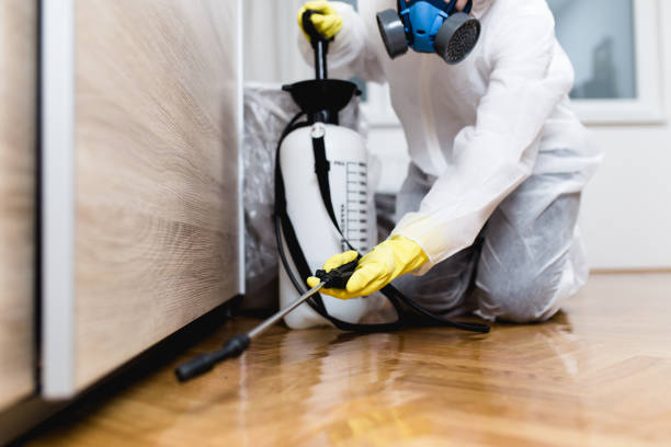 Best Pest Inspection Near Me  in Missouri City, TX