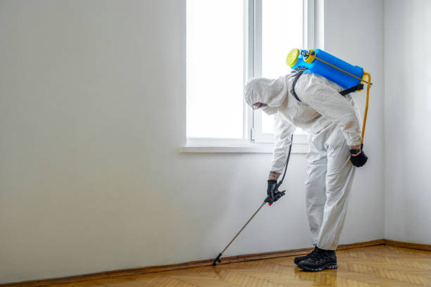 Best Mosquito Control Services  in Missouri City, TX