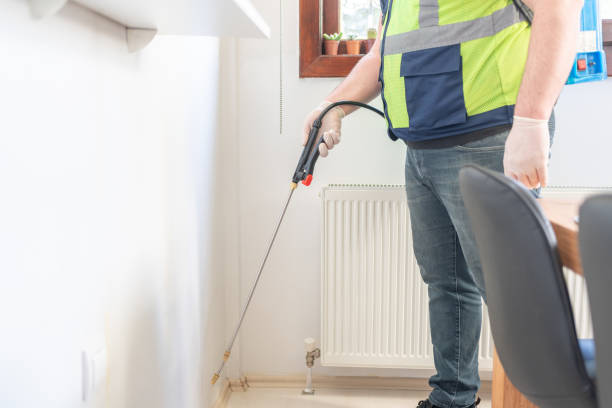 Best Wasp Removal Services  in Missouri City, TX