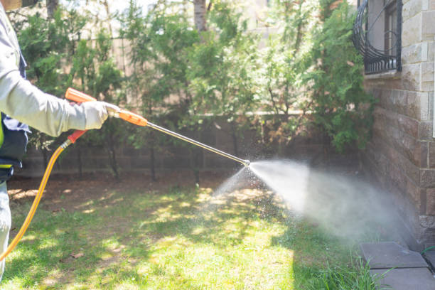 Best Pest Control Near Me  in Missouri City, TX