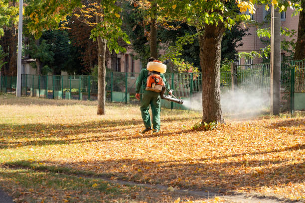 Best Affordable Pest Control Services  in Missouri City, TX