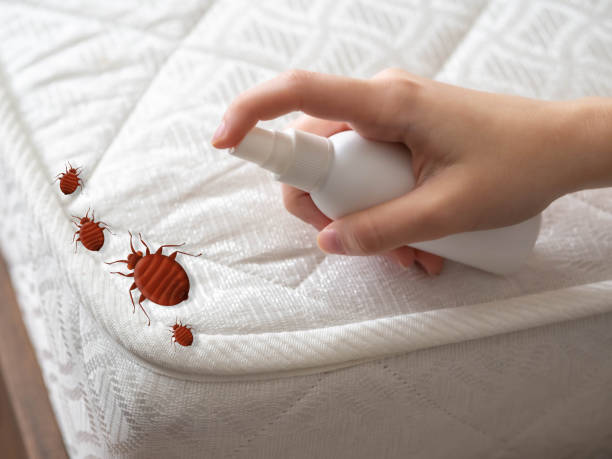 Best Best Pest Control Companies  in Missouri City, TX