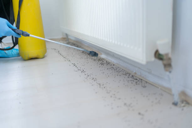 Best Cockroach Control Services  in Missouri City, TX