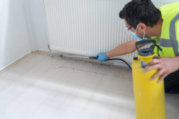 Best Residential Pest Control  in Missouri City, TX